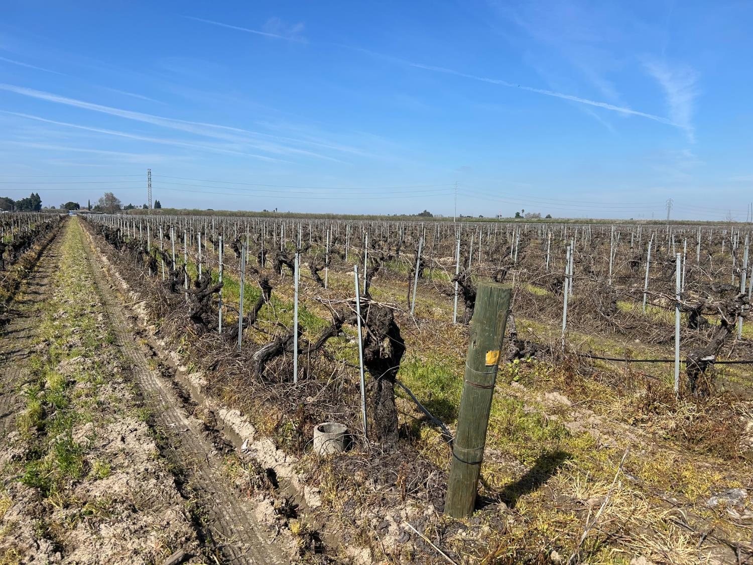 9577 S Del Rey Ave, Selma, CA 93662