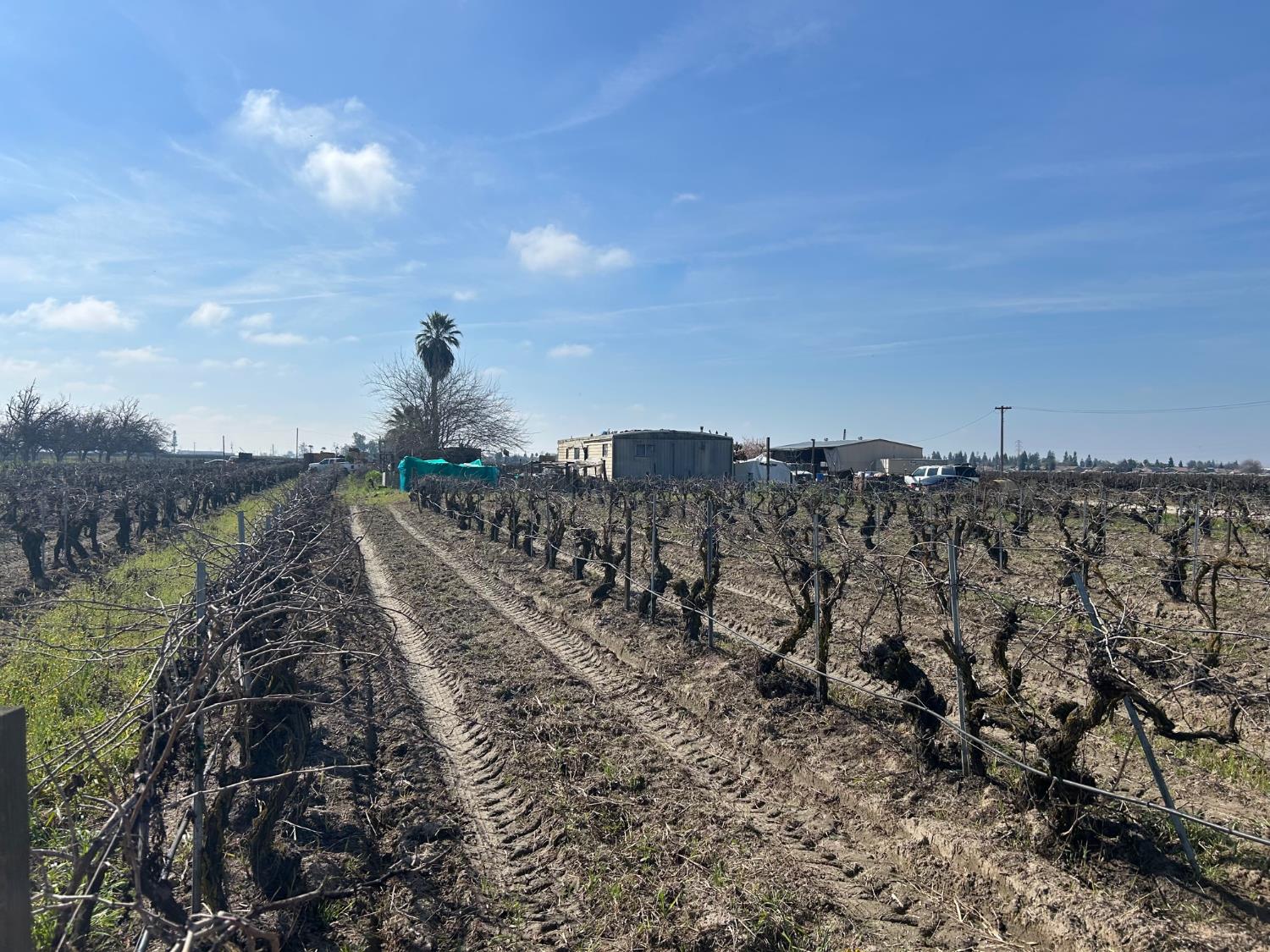 9577 S Del Rey Ave, Selma, CA 93662