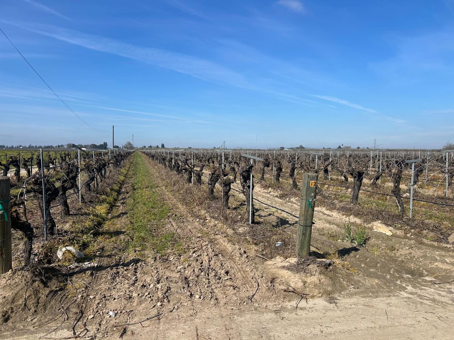 9577 S Del Rey Ave, Selma, CA 93662