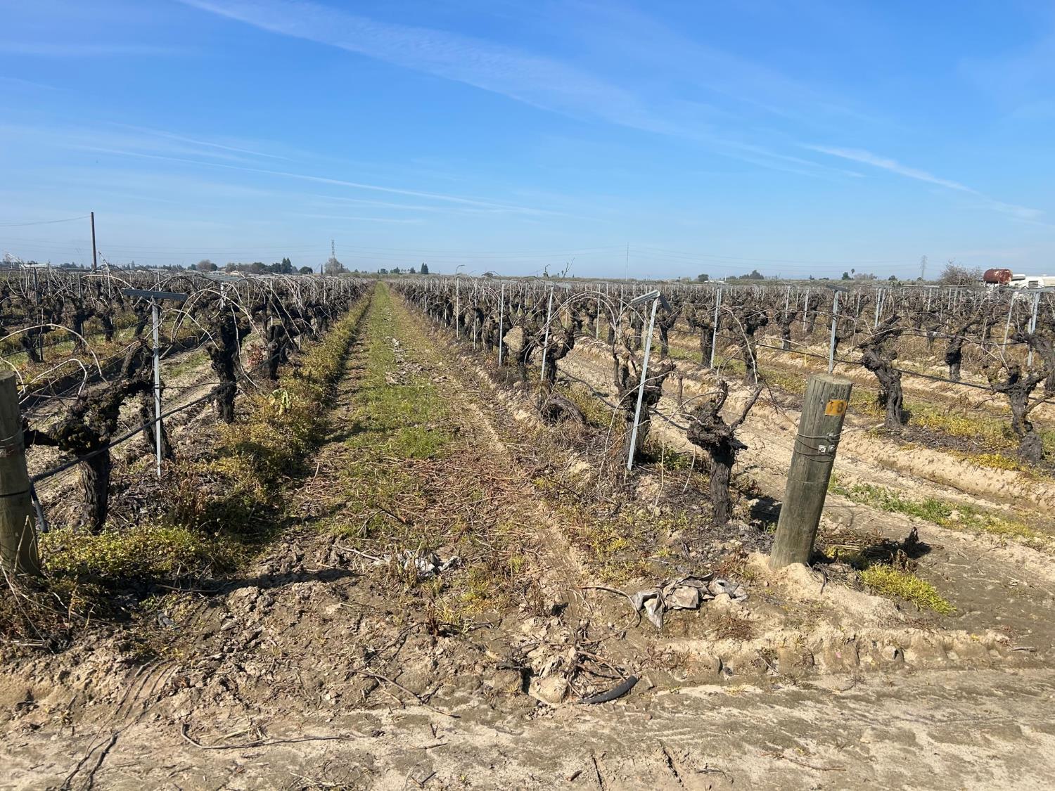 9577 S Del Rey Ave, Selma, CA 93662