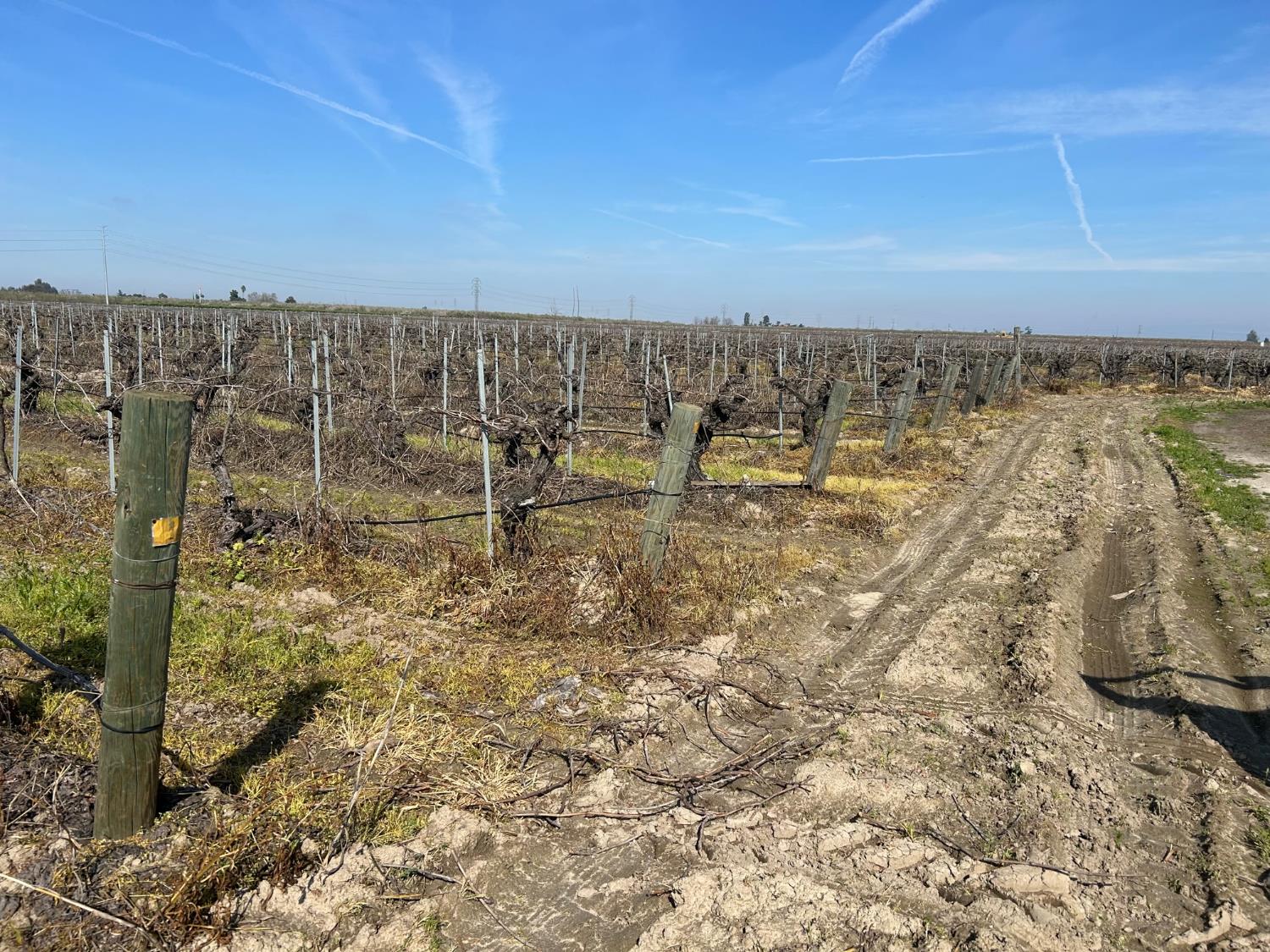 9577 S Del Rey Ave, Selma, CA 93662