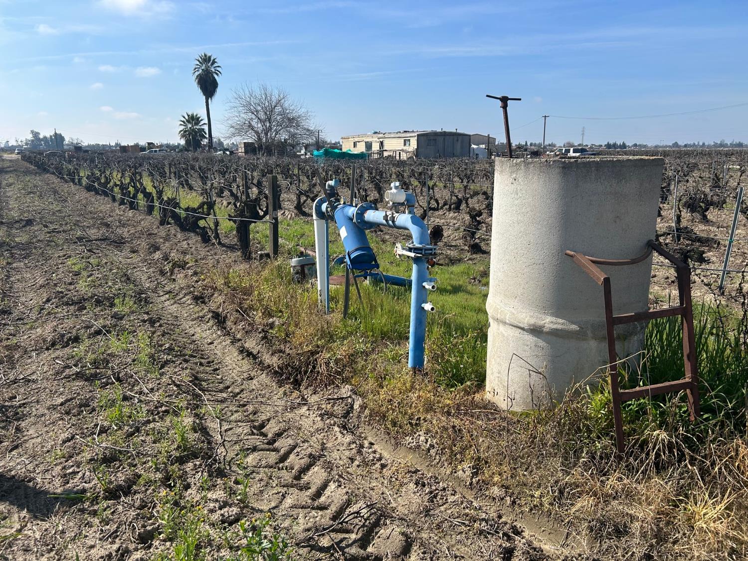 9577 S Del Rey Ave, Selma, CA 93662