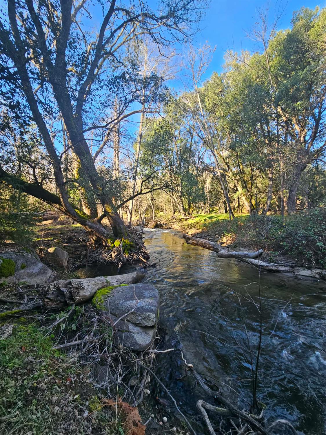 8 ac Road 225, North Fork, CA 93643