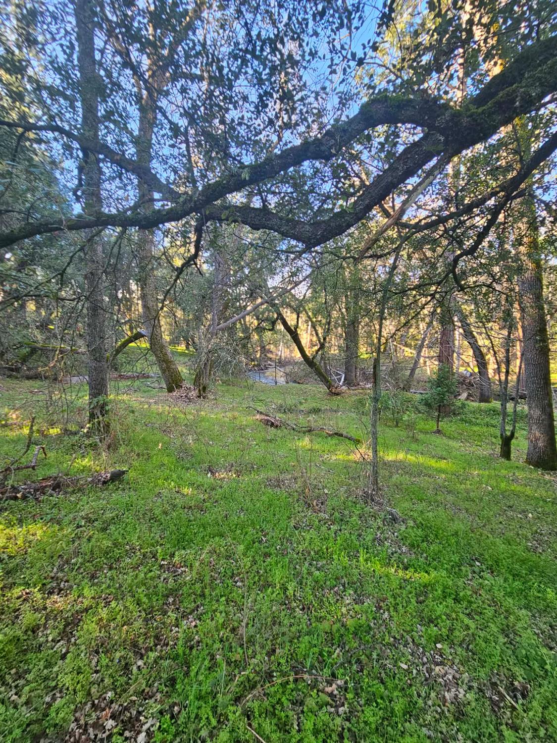 8 ac Road 225, North Fork, CA 93643