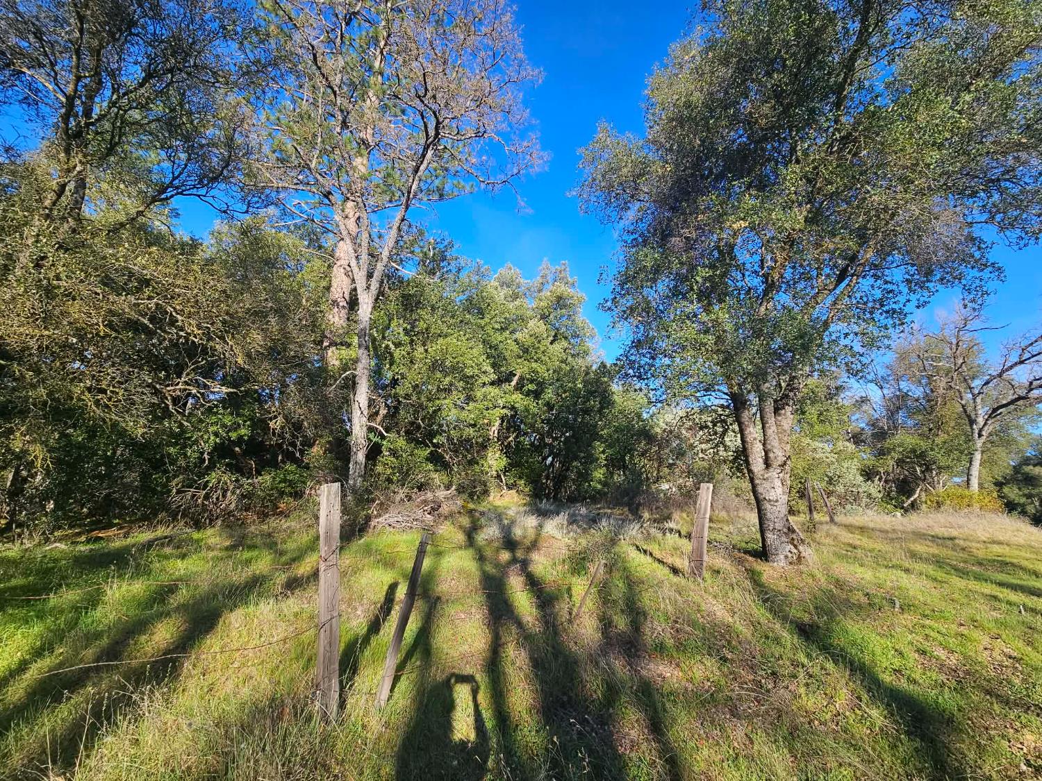 8 ac Road 225, North Fork, CA 93643