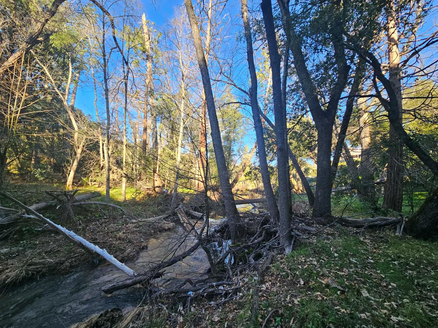 8 ac Road 225, North Fork, CA 93643