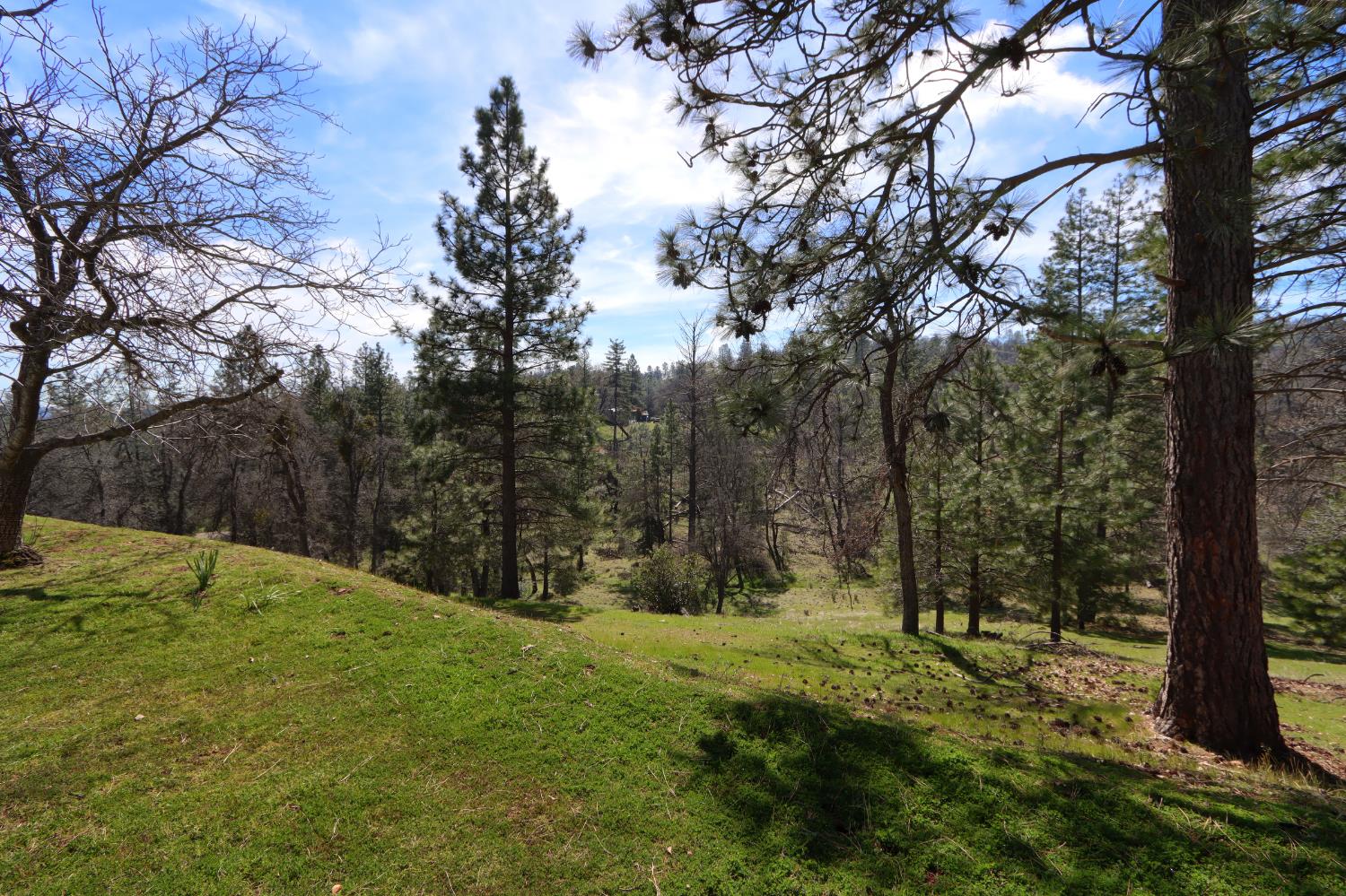 5518 E Whitlock, Mariposa, CA 95338