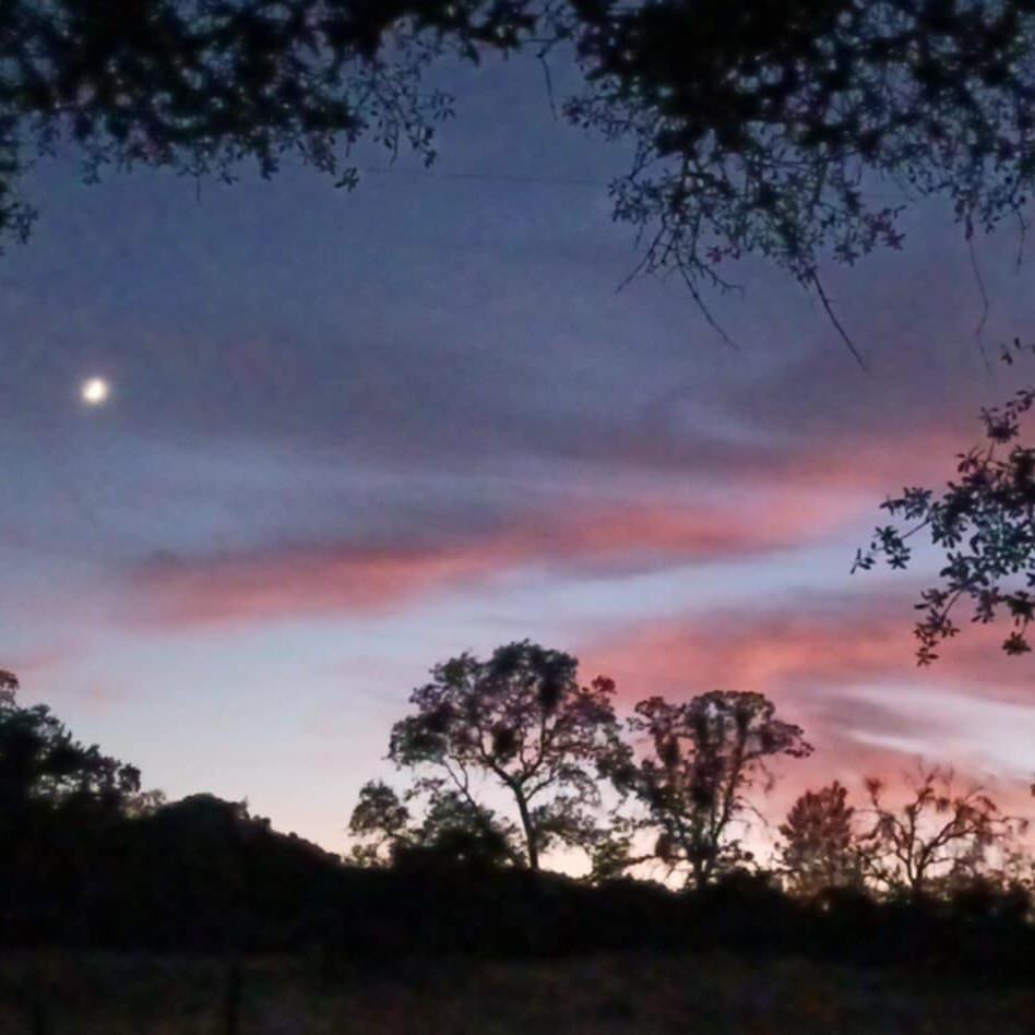 33831 Medford Rd, Auberry, CA 93602