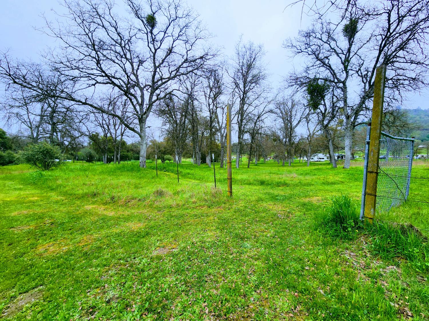 33671 Frazier Road, Auberry, CA 93602