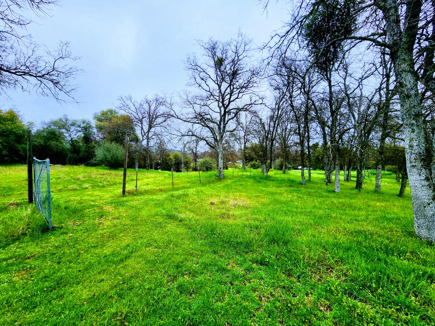 33671 Frazier Road, Auberry, CA 93602