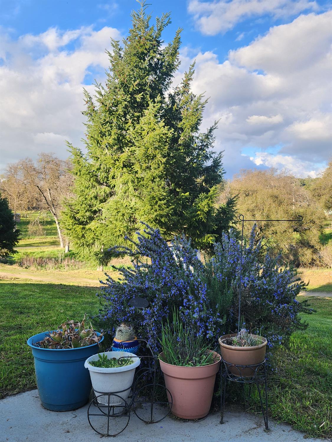 33671 Frazier Road, Auberry, CA 93602