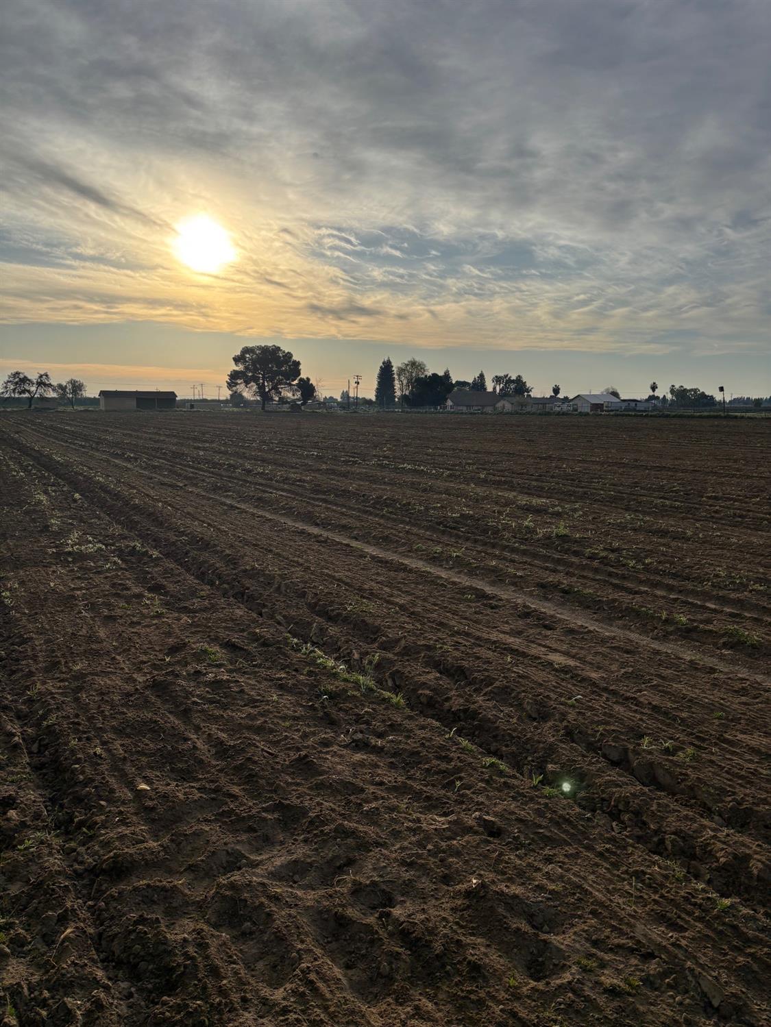 9449 S Mccall Ave, Selma, CA 93662