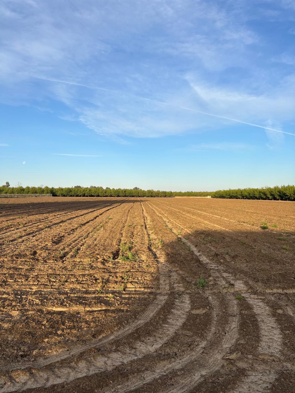 9449 S Mccall Ave, Selma, CA 93662