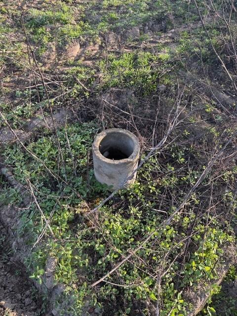 9449 S Mccall Ave, Selma, CA 93662