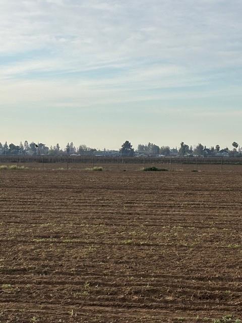 9449 S Mccall Ave, Selma, CA 93662