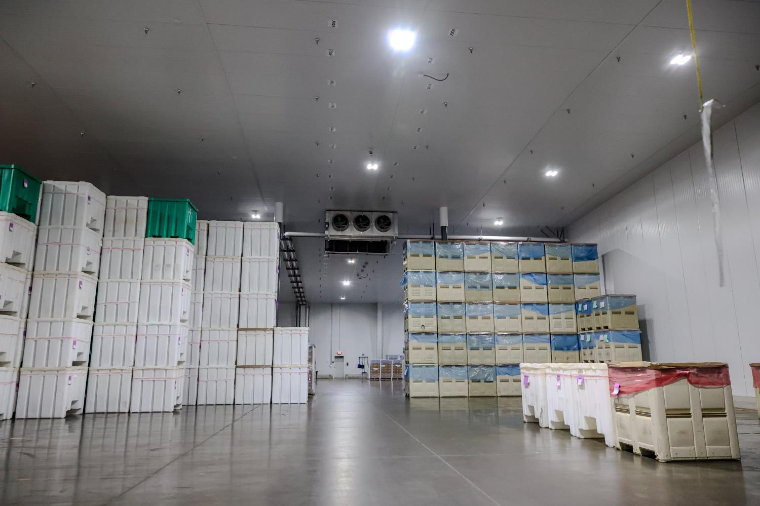 5414 E Floral Ave, Selma, CA 93662