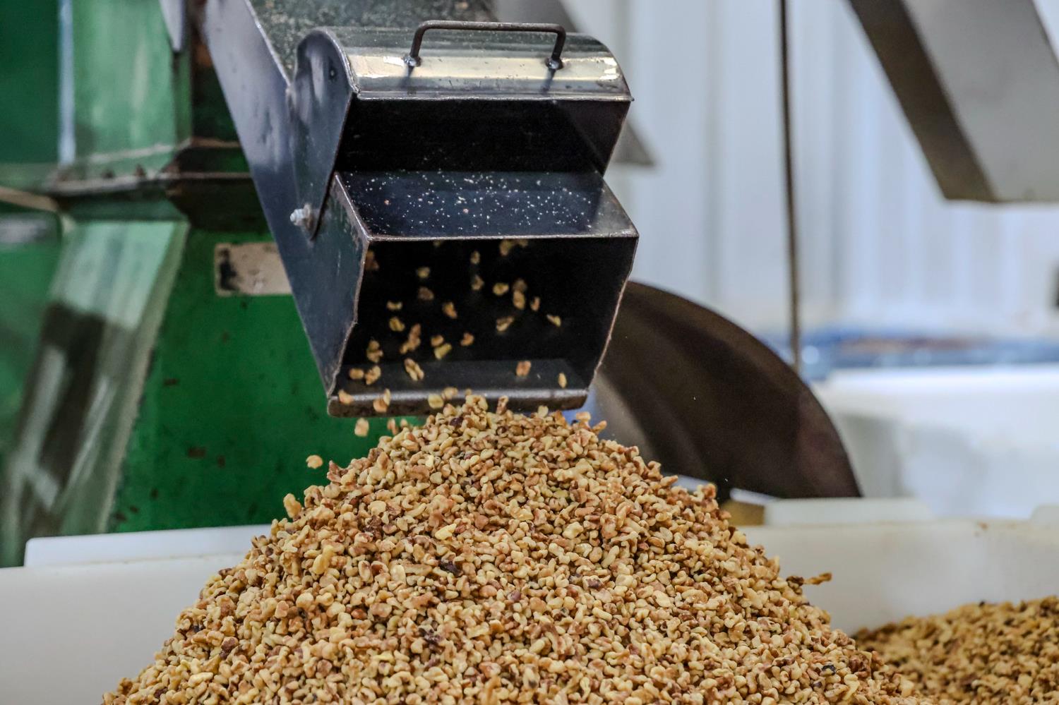 5414 E Floral Ave, Selma, CA 93662