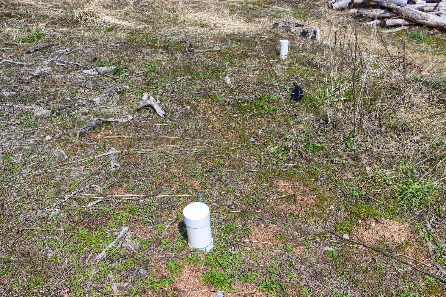 59827 Hillcrest Rd, North Fork, CA 93643