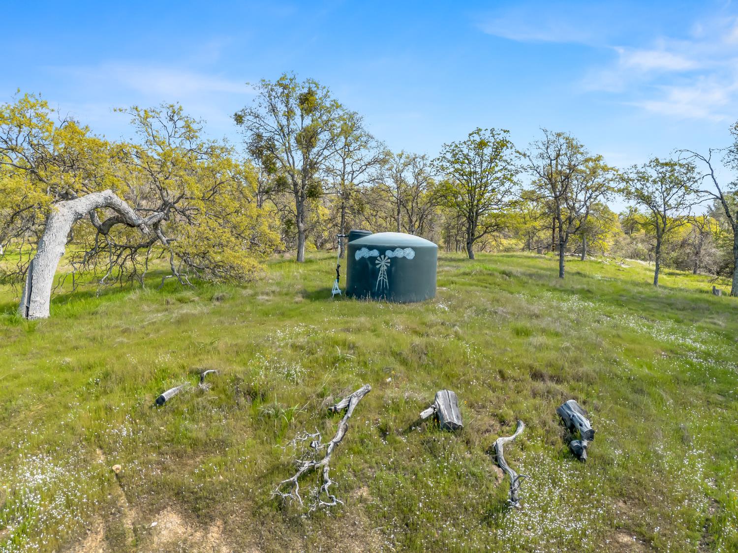 33542 Longo Rd, Coarsegold, CA 93614