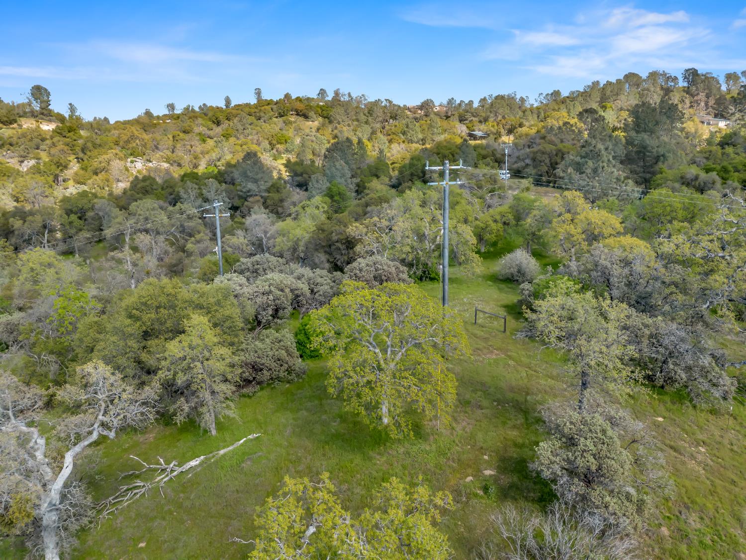 33542 Longo Rd, Coarsegold, CA 93614