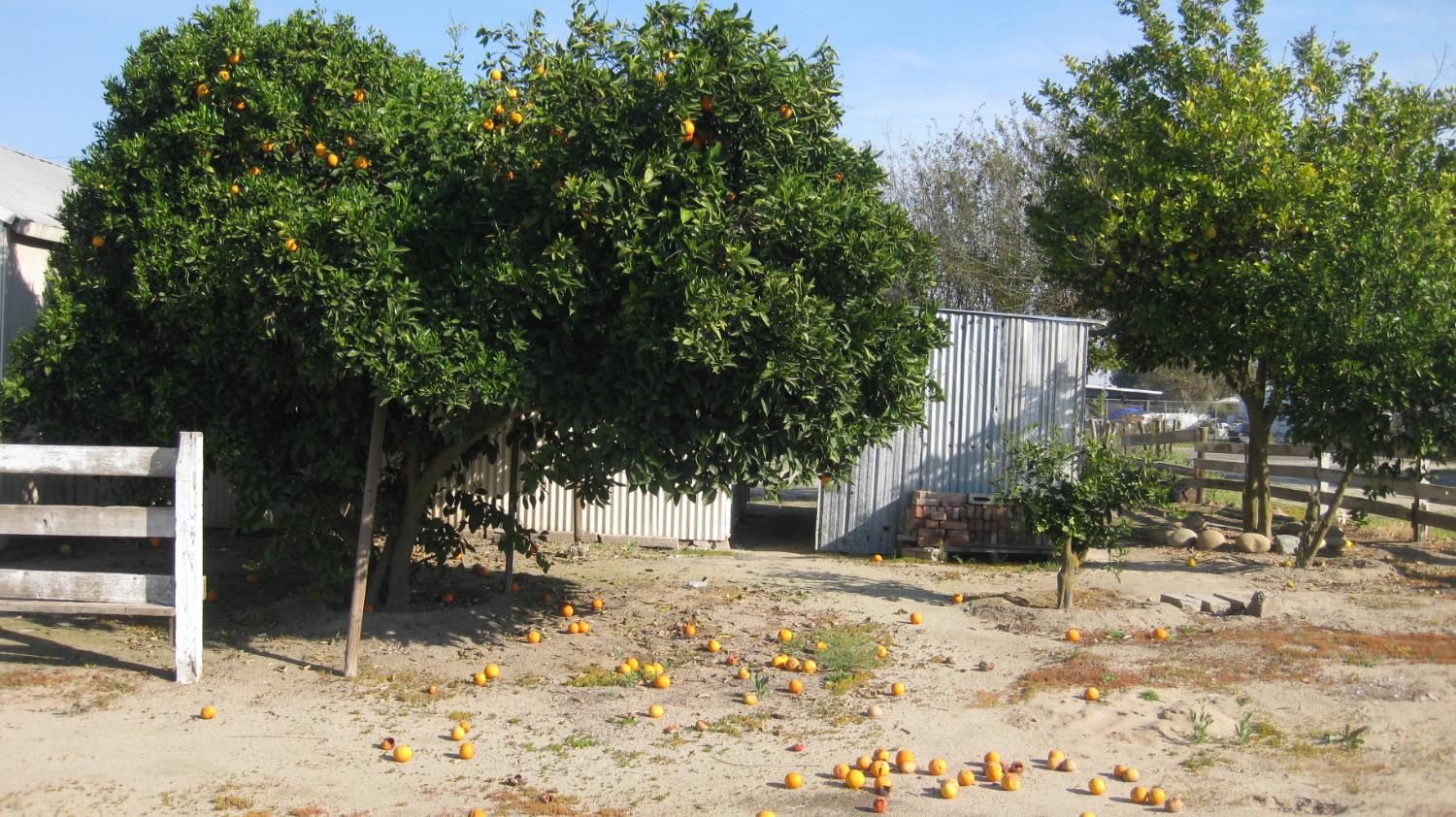 12283 E Dinuba Ave, Selma, CA 93662