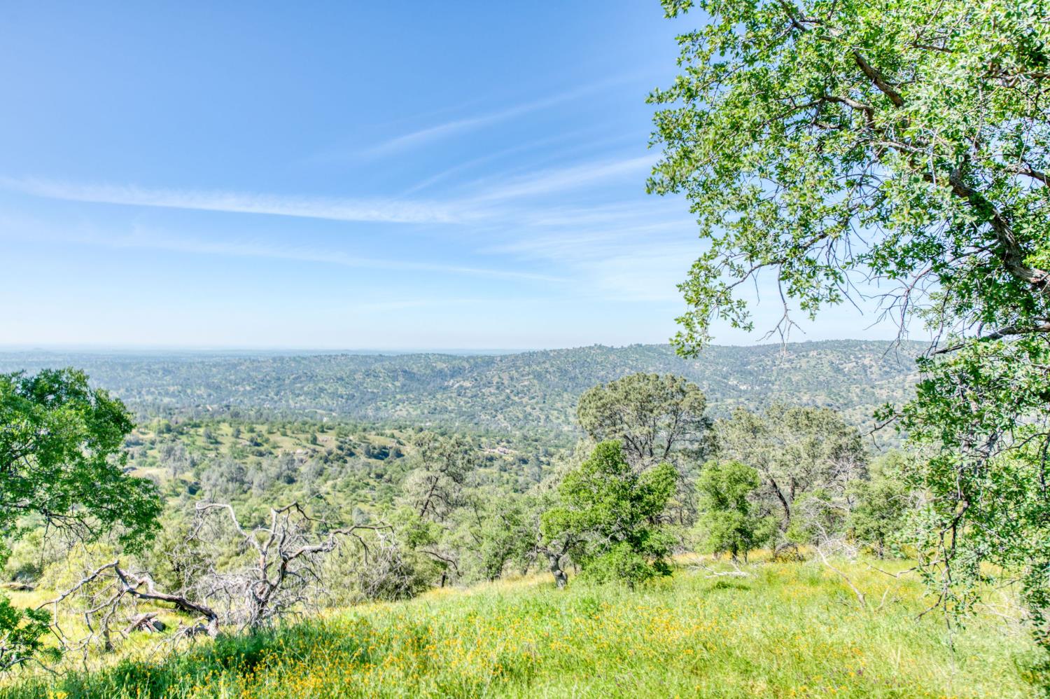 41101 Lilley Mountain Dr, Coarsegold, CA 93614