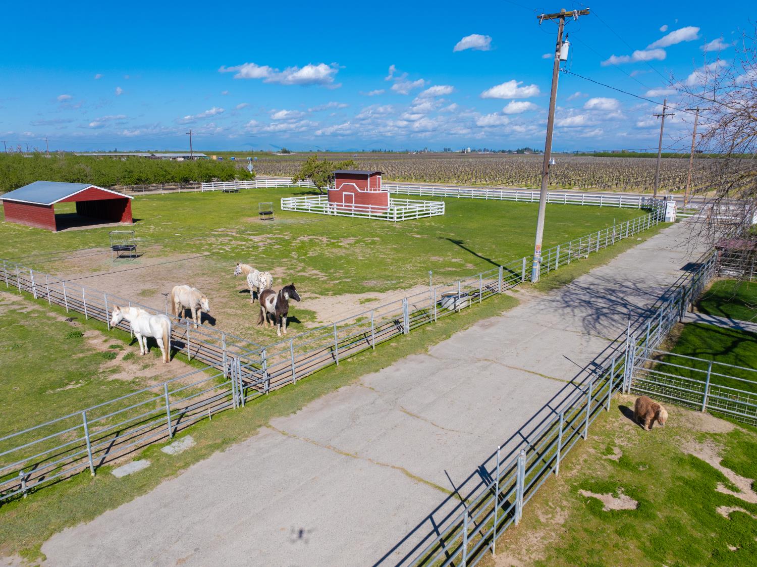 14901 S Highland Ave, Selma, CA 93662