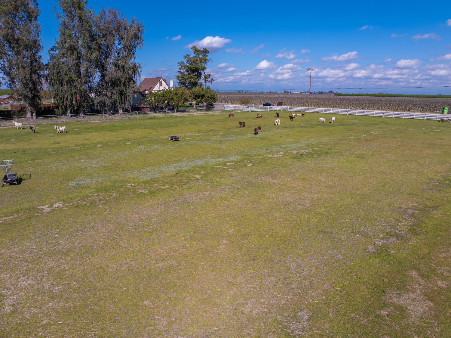 14901 S Highland Ave, Selma, CA 93662