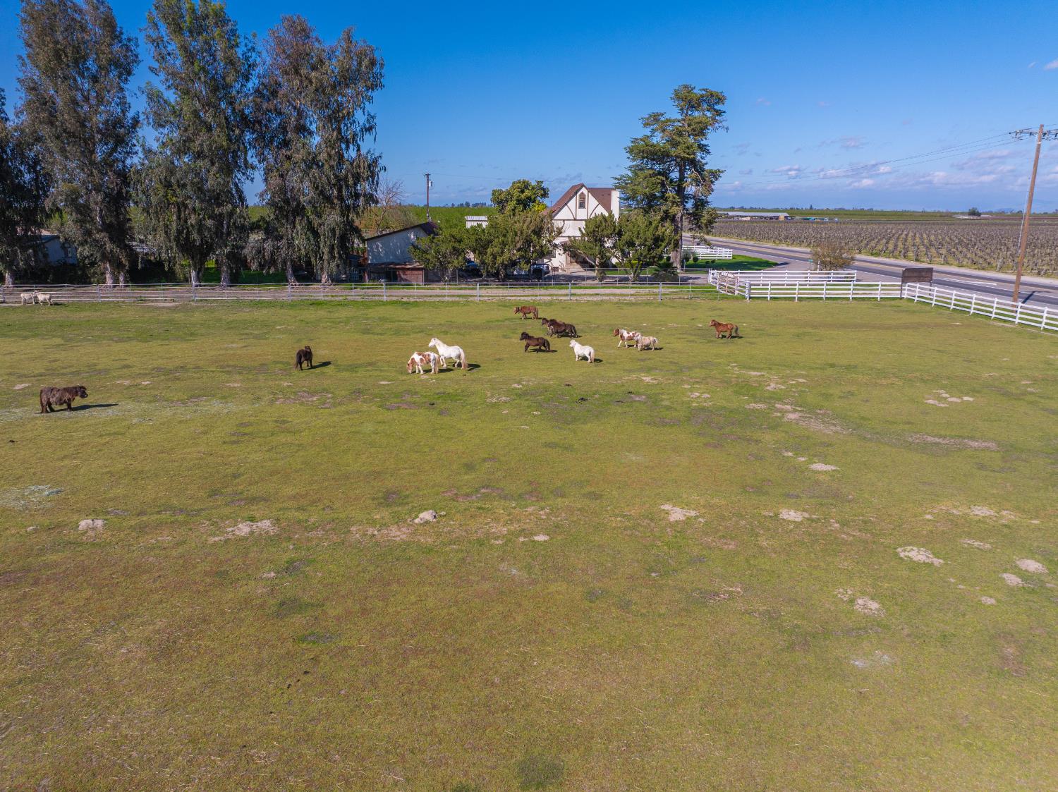 14901 S Highland Ave, Selma, CA 93662