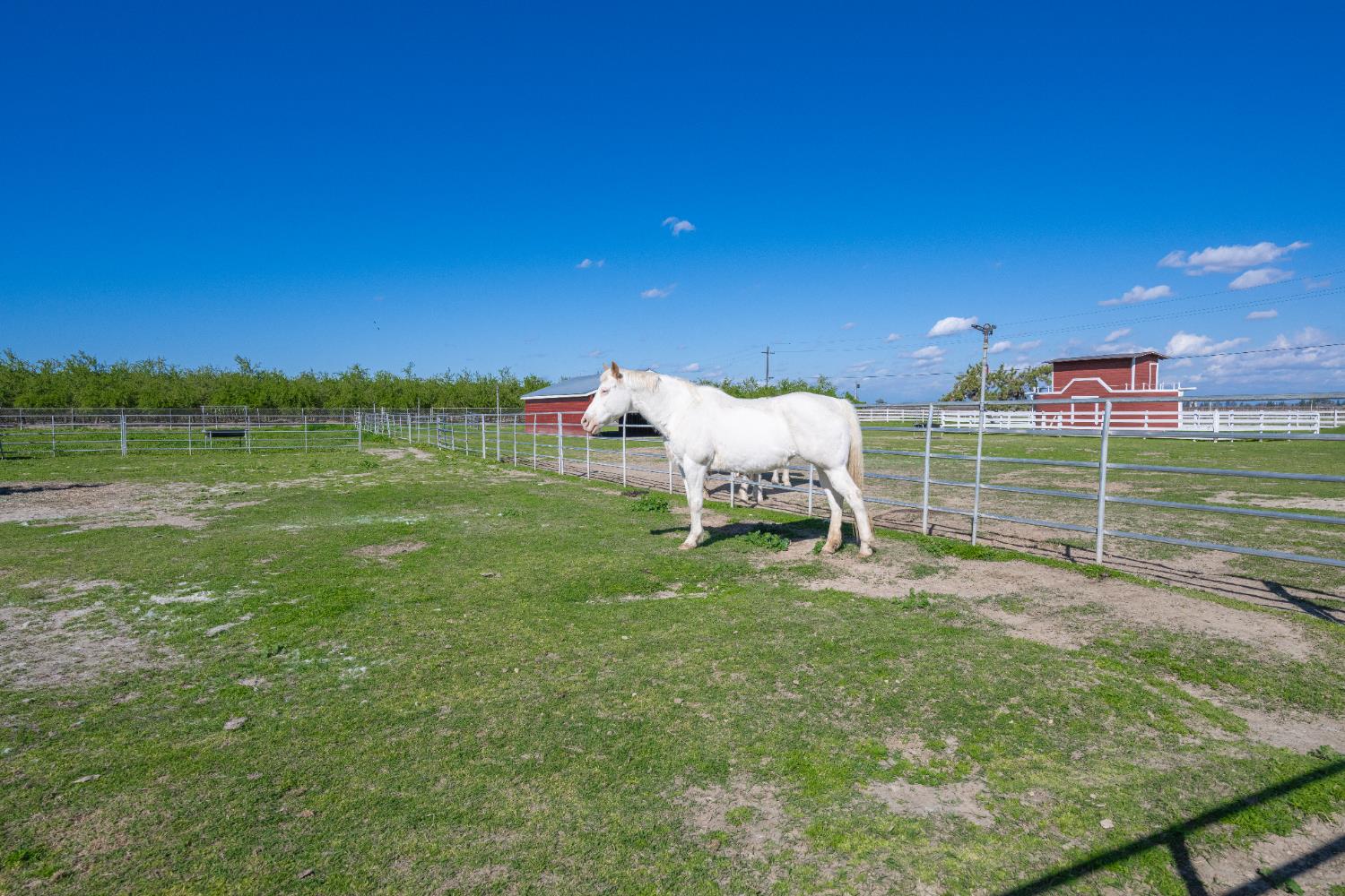 14901 S Highland Ave, Selma, CA 93662