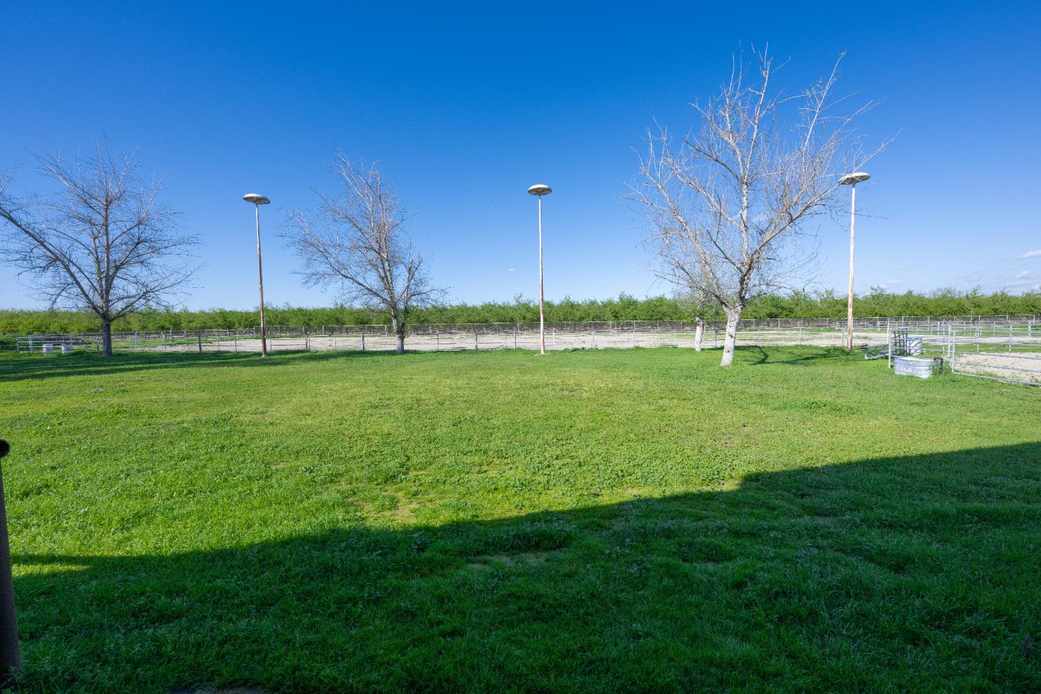 14901 S Highland Ave, Selma, CA 93662