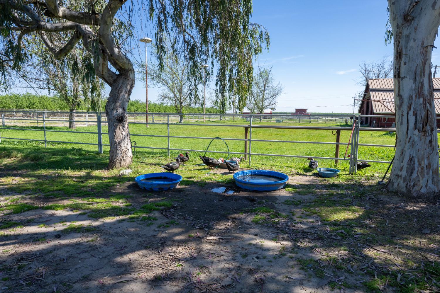 14901 S Highland Ave, Selma, CA 93662