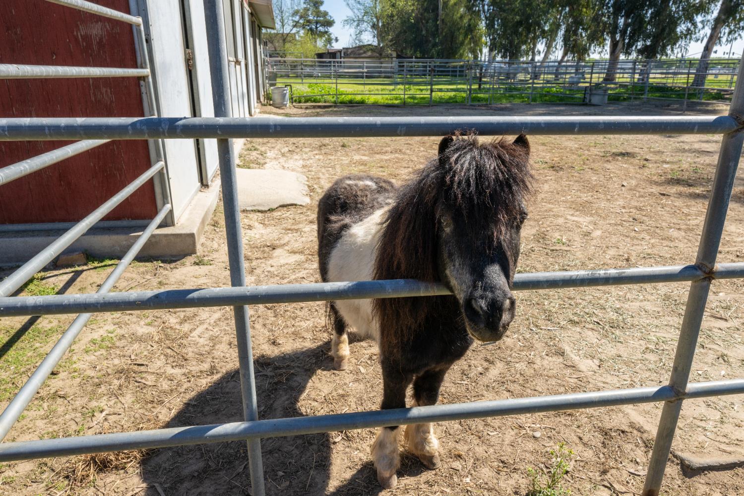 14901 S Highland Ave, Selma, CA 93662