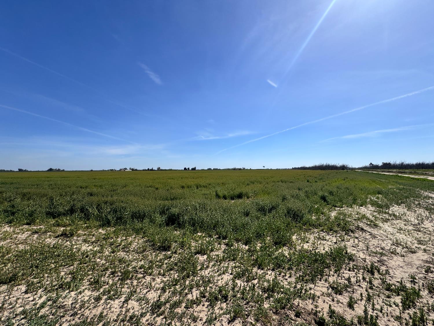 16408 W Lacey Blvd, Lemoore, CA 93245