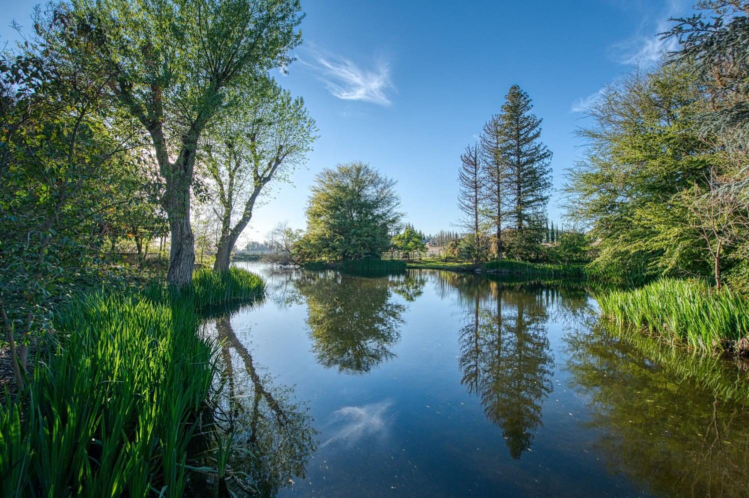 2649 Heritage Ave, Clovis, CA 93619