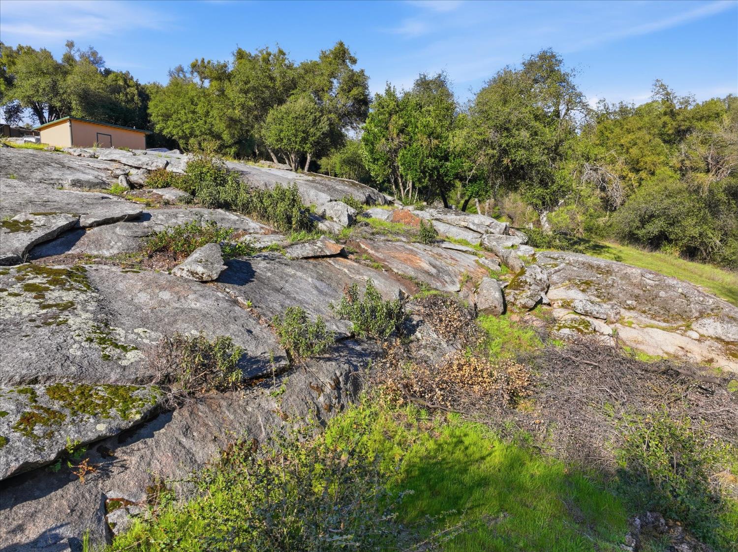 43227 Leach Rd, Ahwahnee, CA 93601