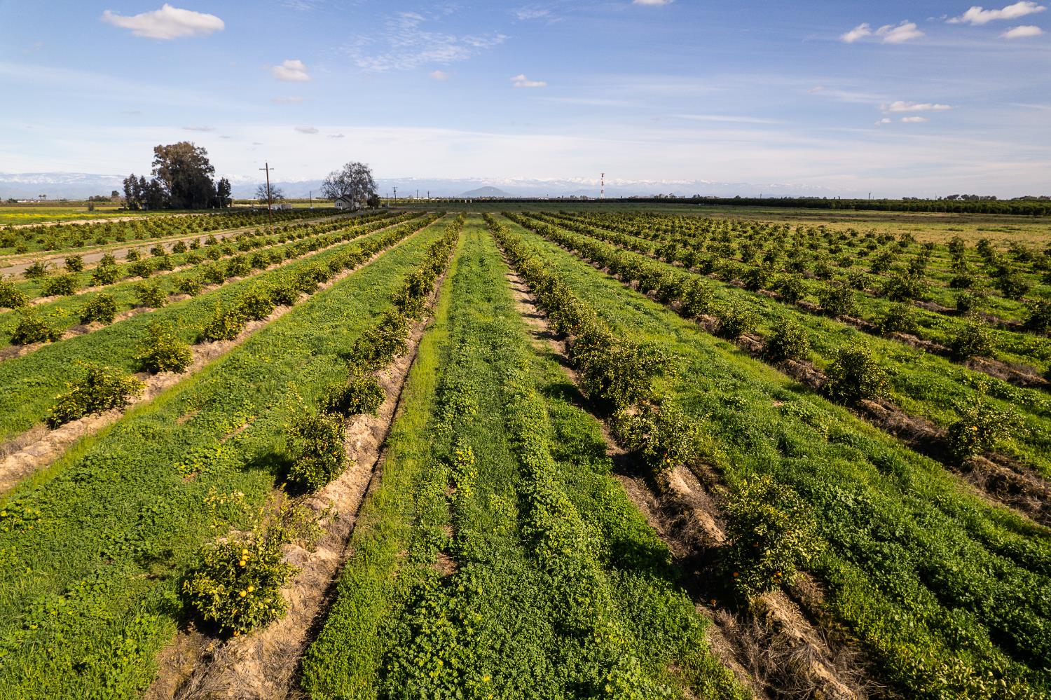 2334 S Temperance Ave, Fresno, CA 93725