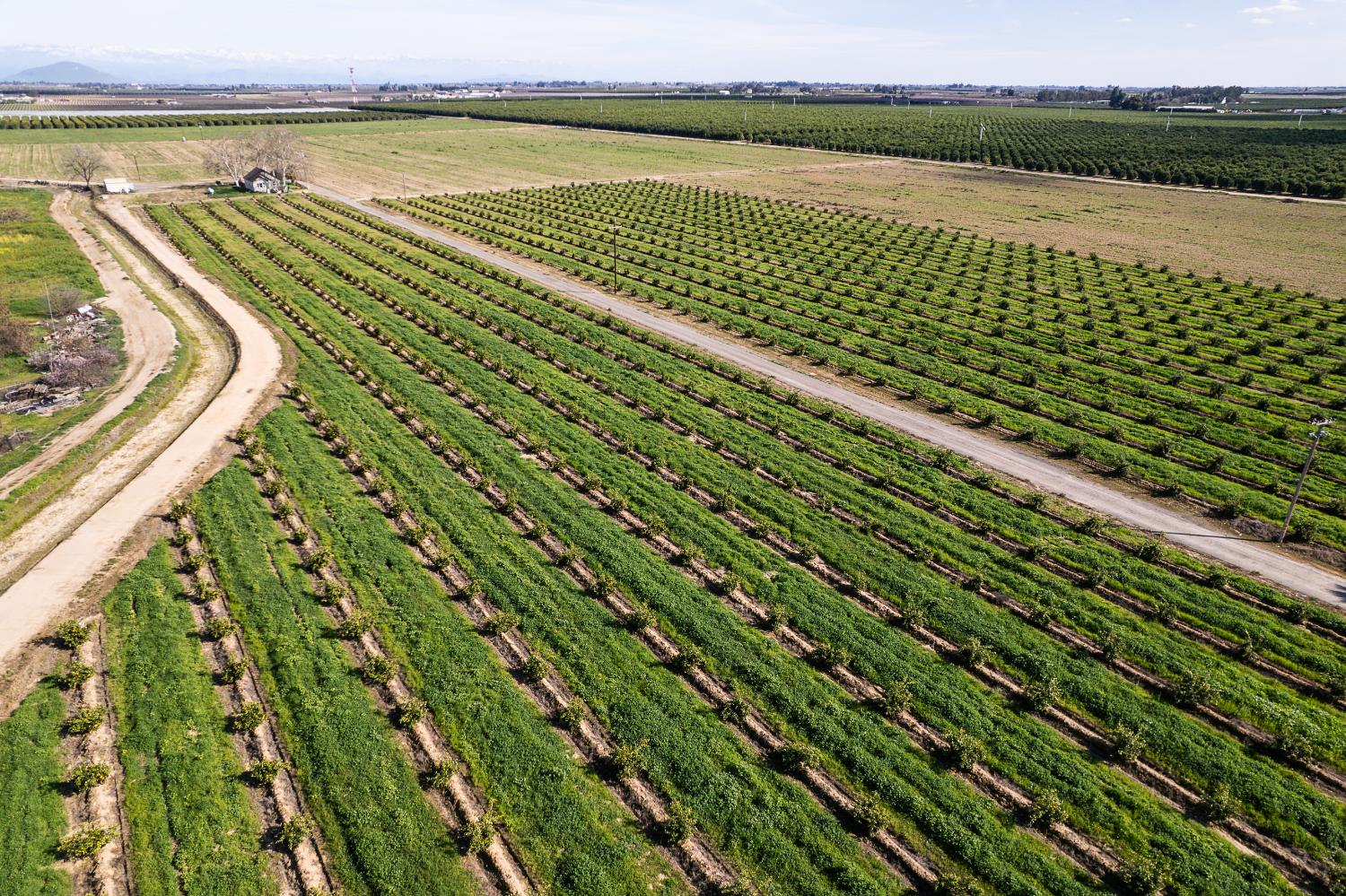 2334 S Temperance Ave, Fresno, CA 93725