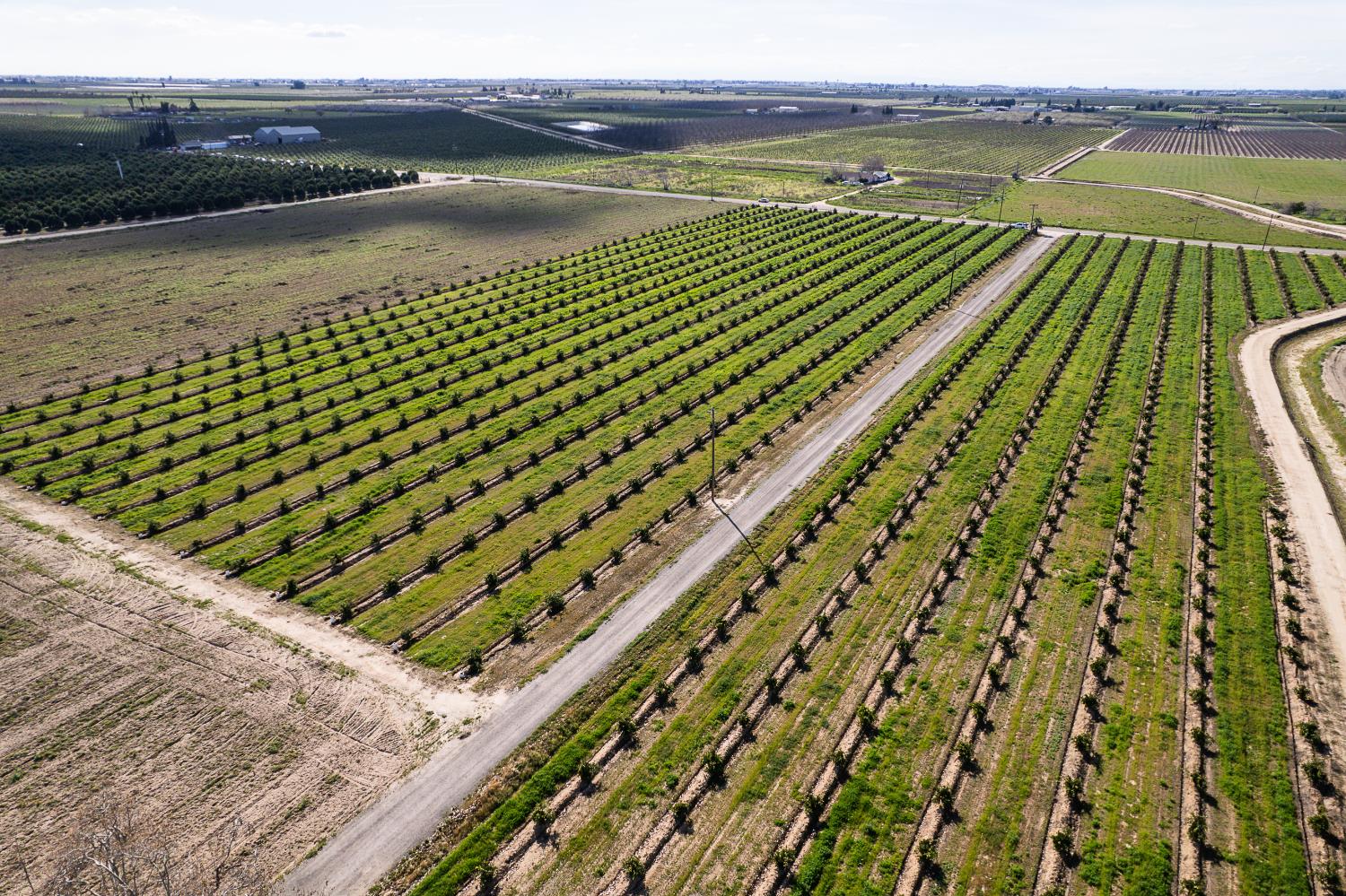 2334 S Temperance Ave, Fresno, CA 93725