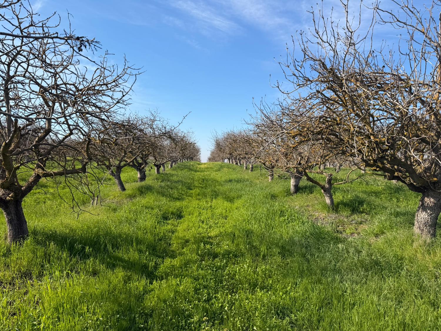 1 Rd 28 1/2, Madera, CA 93638