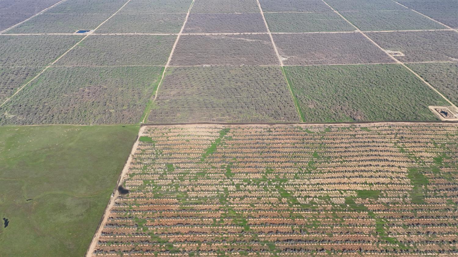 1 Rd 28 1/2, Madera, CA 93638