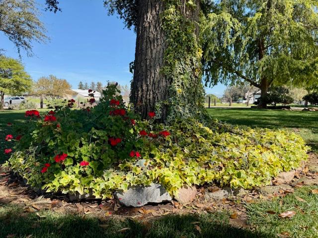 6560 Bethel, Clovis, CA 93619