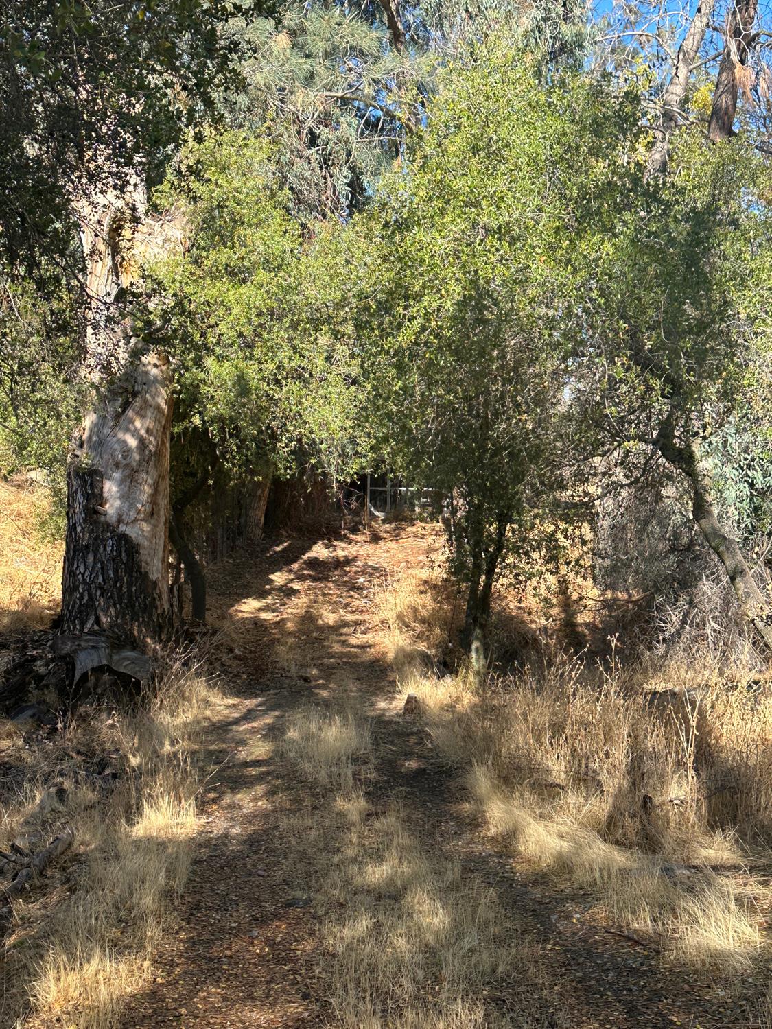 28923 Highway 41, Coarsegold, CA 93614