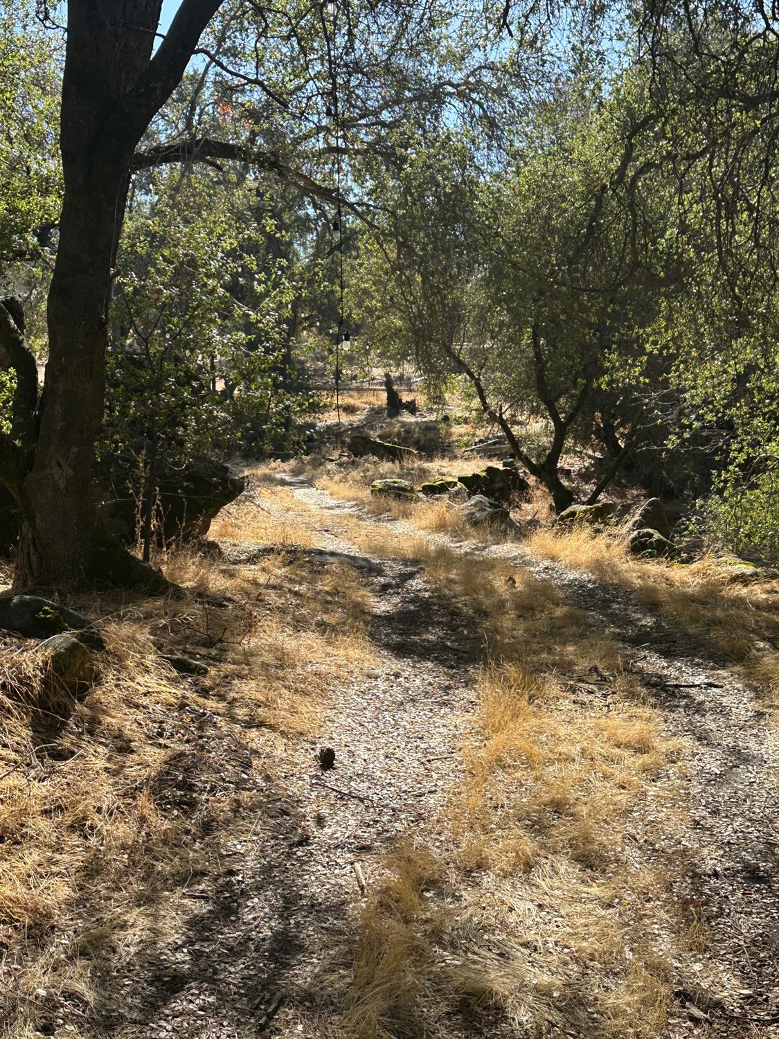 28923 Highway 41, Coarsegold, CA 93614