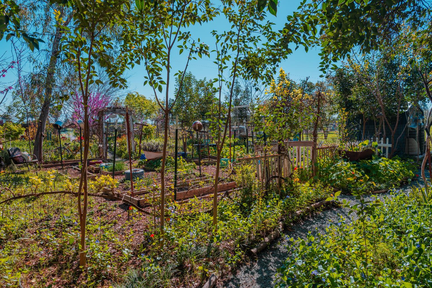 915 S Strathmore Ave #N, Lindsay, CA 93274