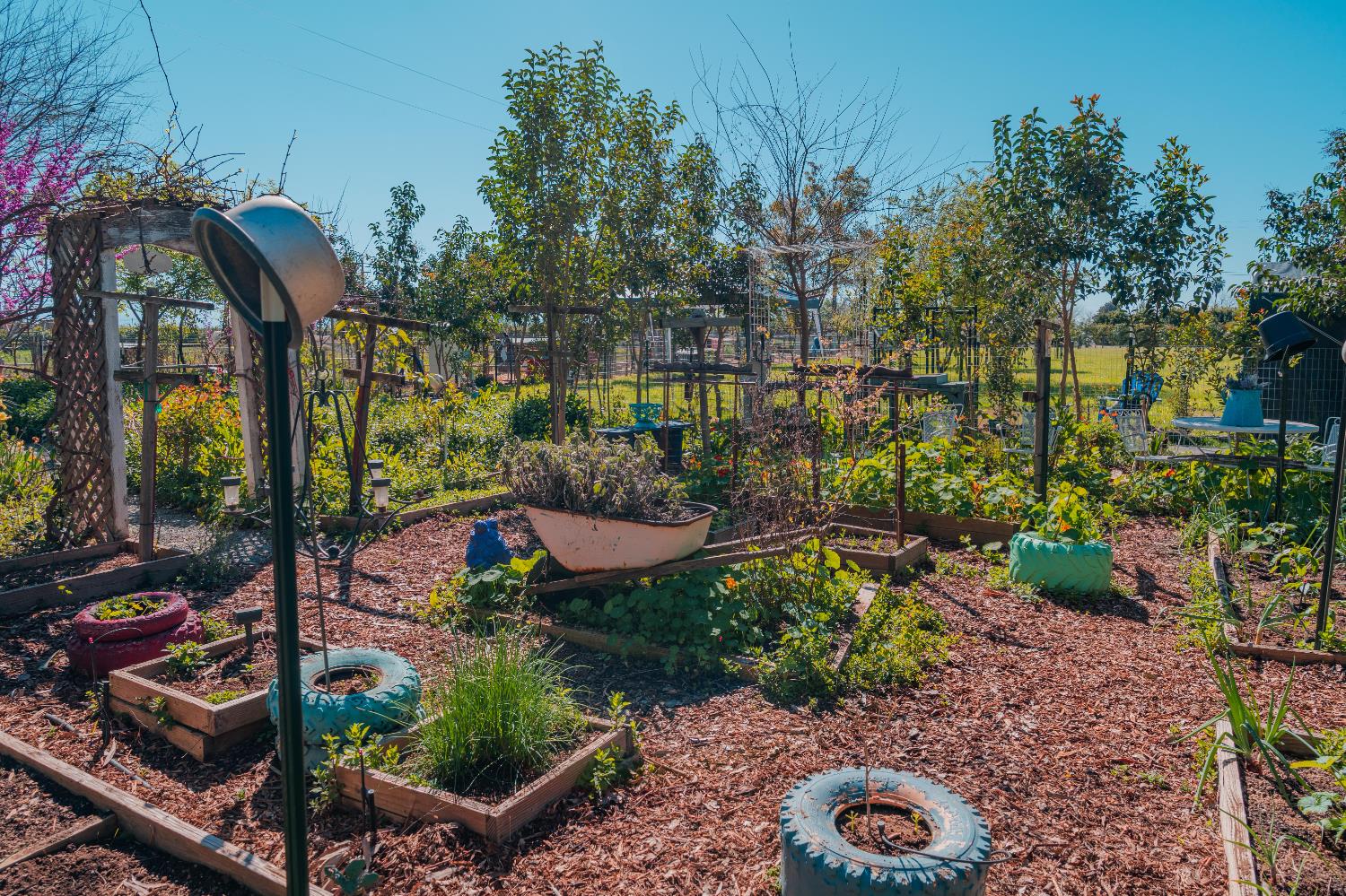 915 S Strathmore Ave #N, Lindsay, CA 93274