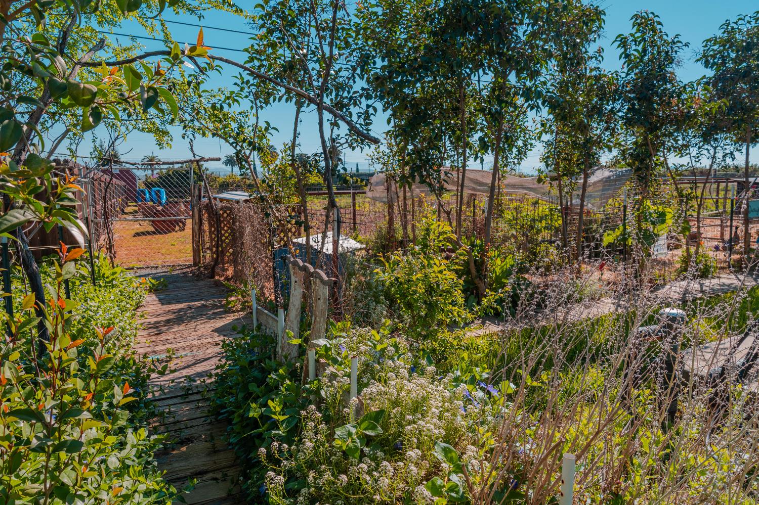 915 S Strathmore Ave #N, Lindsay, CA 93274