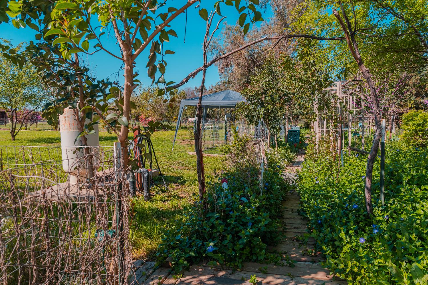 915 S Strathmore Ave #N, Lindsay, CA 93274