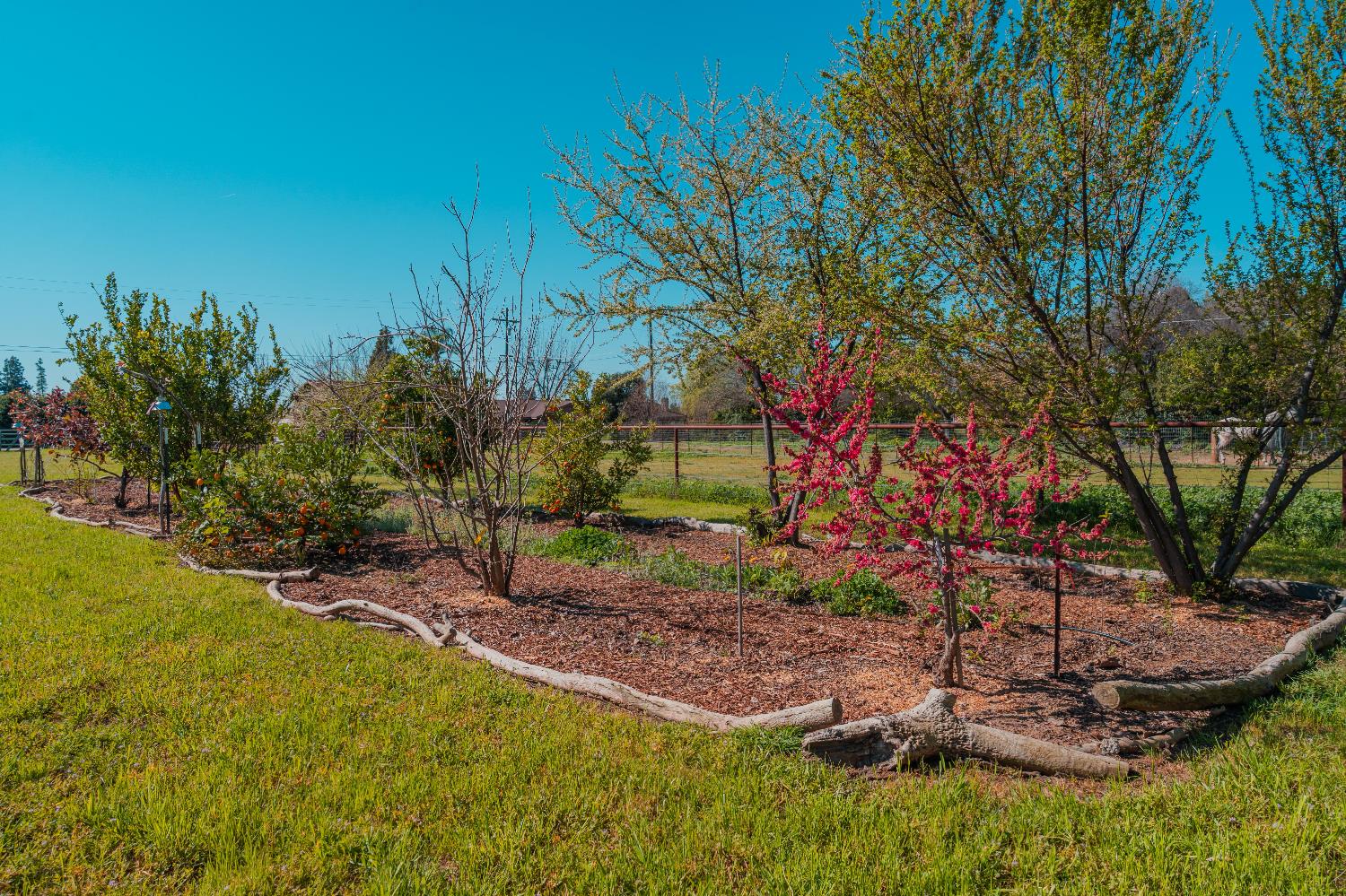 915 S Strathmore Ave #N, Lindsay, CA 93274