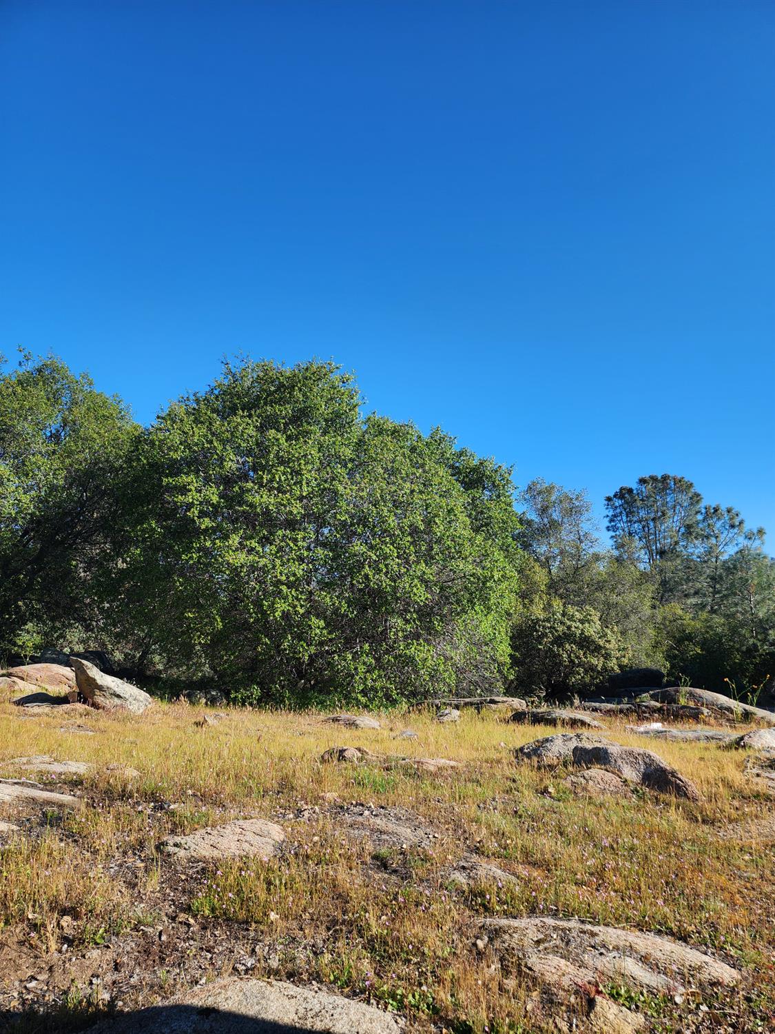 0 0 Rocky Ridge Road, Coarsegold, CA 93614